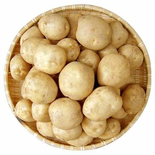 강원도 햇감자 10Kg(왕특 지름5-8cm)무료배송