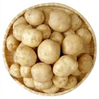 강원도 햇감자 10Kg(왕특 지름5-8cm)무료배송