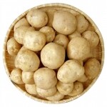 강원도 햇감자 10Kg(왕특 지름5-8cm)무료배송