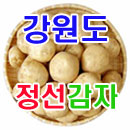강원도 햇감자 10Kg(왕왕 지름8cm이상)무료배송