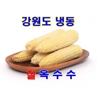강원도 정선 냉동 찰옥수수 20개