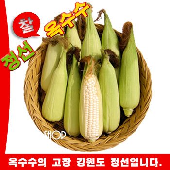 강원도 정선 햇찰옥수수30EA(무료배송)